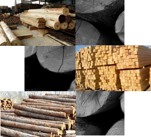 百年品質(zhì)傳承，源于每一環(huán)節(jié)的考究